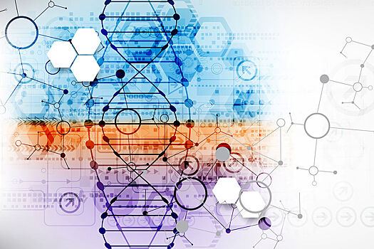 Current Biology: в зубах львов-людоедов из XIX века нашли человеческие волосы