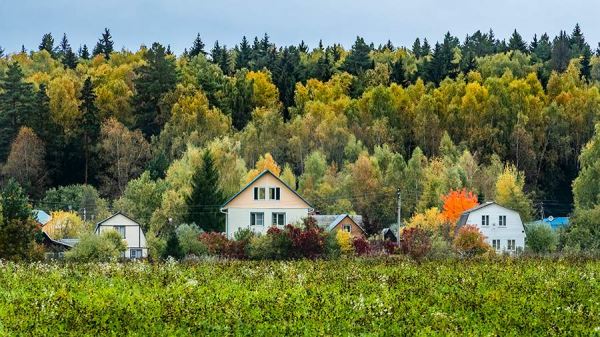 Госдума приняла закон о распространении «дачной амнистии» на хозпостройки